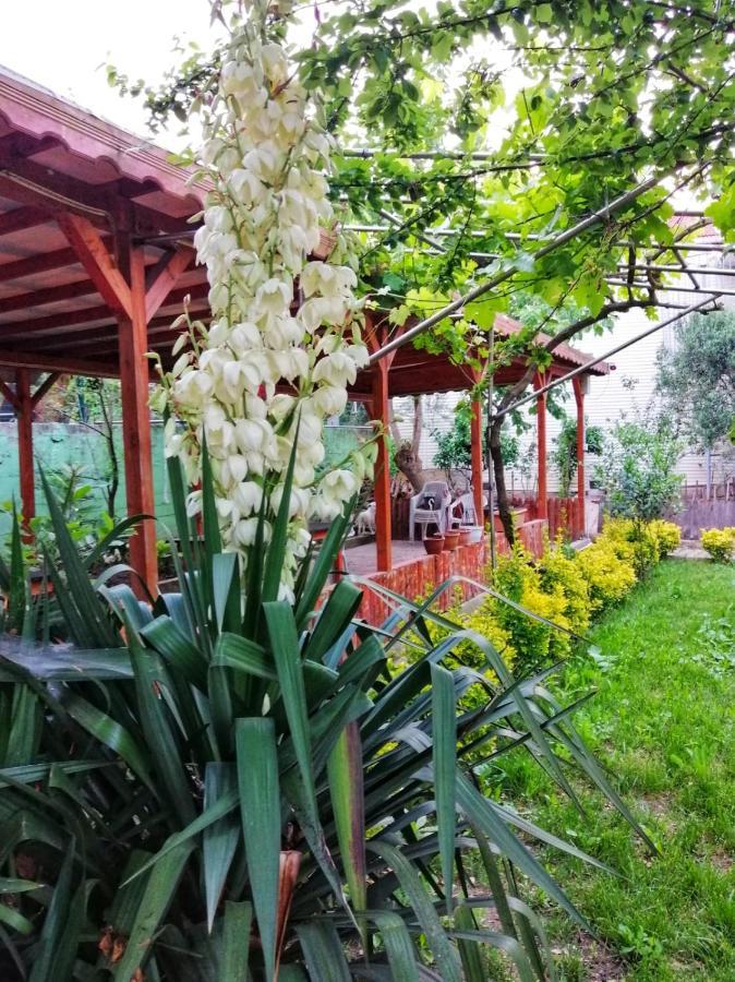 Kilic Motel อิสตันบูล ภายนอก รูปภาพ